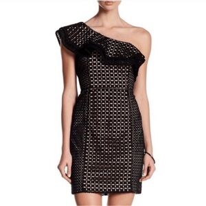 J. Crew Collection One Shoulder Eyelet Ruffle Mini Dress